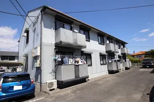 コスモスBの画像