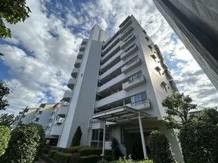 アーバンみらい東大宮東三番街第10号棟の画像