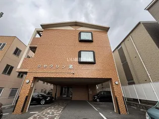 ジャクリン渚の画像