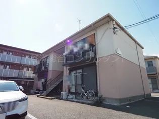 マルベリーBの画像