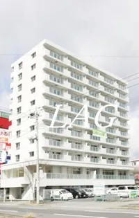 SINCERITYMURAKAMIIIIの画像