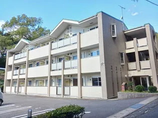 フォーリスト黒髪の画像