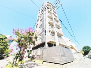 STELLA SENDAIZAKAの画像