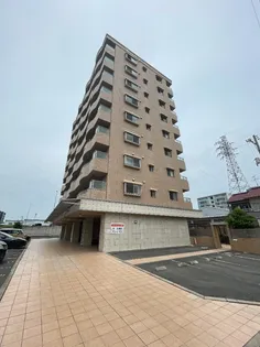 マーガレットAIIの画像