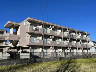 ア ドリームかしあげの画像
