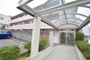 Tフラッツの画像