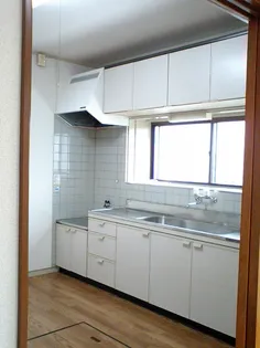 ハイツ清水 102【1階】のキッチン