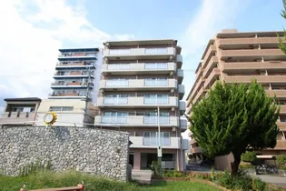 高知県高知市中宝永町【マンション】の外観