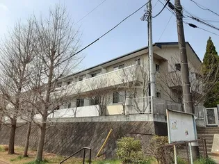 神奈川県秦野市南矢名【アパート】の外観