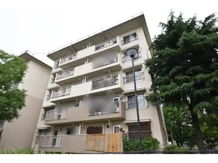 UR金剛団地 17号棟の画像