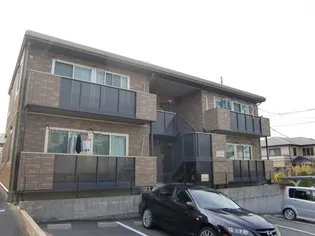 サンフラワーの画像