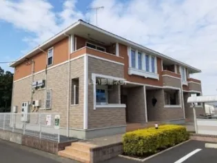 クレマチスBの画像