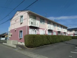 ジュビリオAの画像