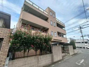 グランドコスモの画像