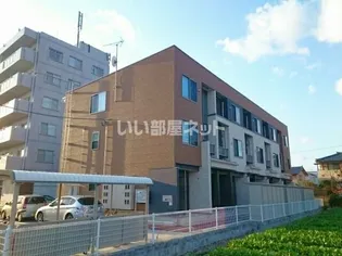 フリージアの画像