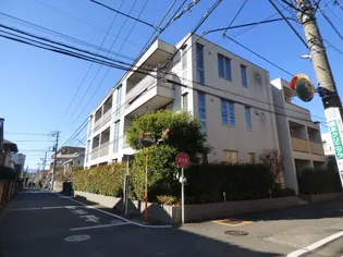 ウィステリアの画像