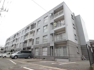 サンライズ藤の画像