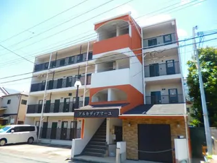 アルカディアマーユの画像