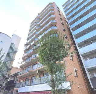 ライオンズマンション東池袋第弐【8階】の外観