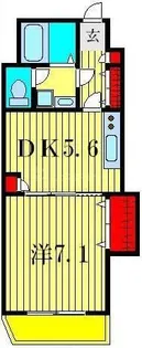 アミティエ7【1階】の間取り