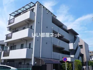 アイビー菅沢の画像