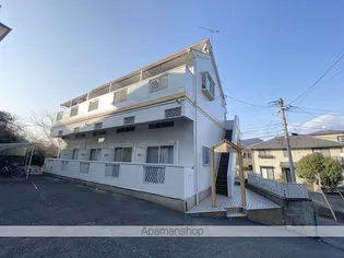 ウェルネス石坂の画像