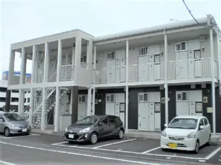 レオパレスラ テラの画像