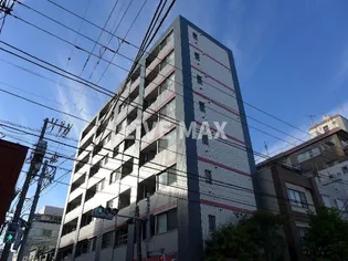 ラヴィンの画像