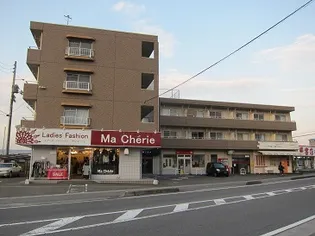 愛媛県伊予郡砥部町高尾田【マンション】の外観