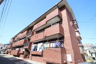 パレファミーユの画像