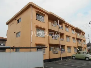 アルベールの画像