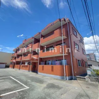 熊本県熊本市南区田井島2【マンション】の外観