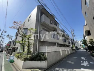 Cエレガンスの画像