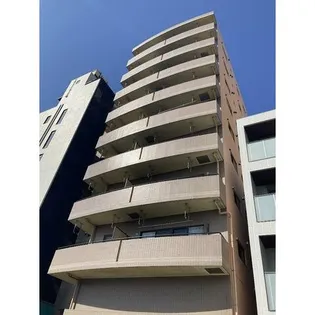 アムールの画像