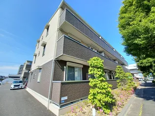 レガーロAの画像