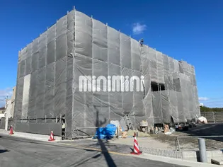 アンジューVIIの画像