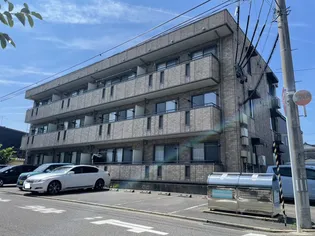 ルミエールの画像