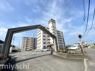 徳島県徳島市川内町金岡【マンション】の外観