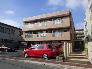 STELLAPOLAREの画像