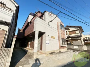 セントポーリアの画像