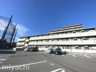 リーリエ中吉野【3階】の外観