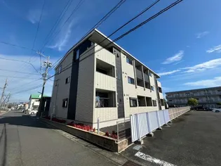 ハミングバードの画像