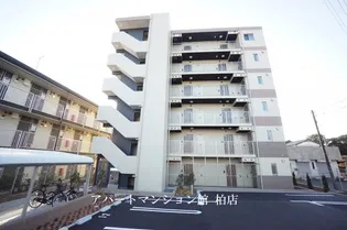 ラピスラズリの画像