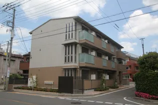 BROWN TABBYの画像