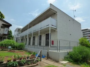 リブリ クレオプラスの画像