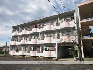 岐阜県岐阜市太郎丸北郷【マンション】の外観