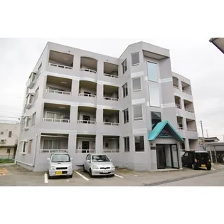 ベルレーヌ ムライの画像