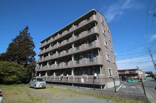 ヴィルドミール【3階】の外観