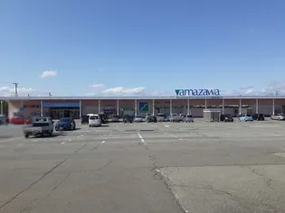 フリッシュVI【2階】の周辺