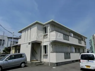 ローダンセの画像